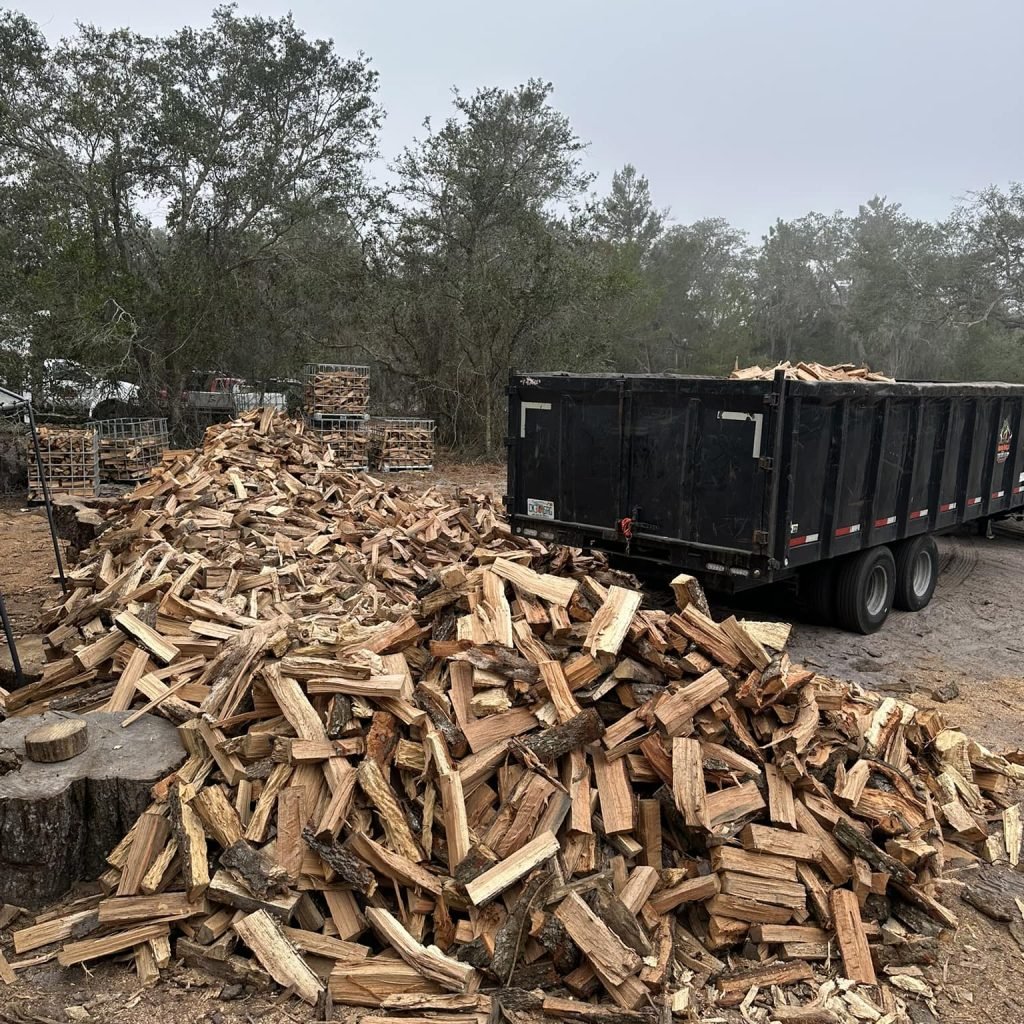 480222771_122147606084371191_6624702335709326859_n